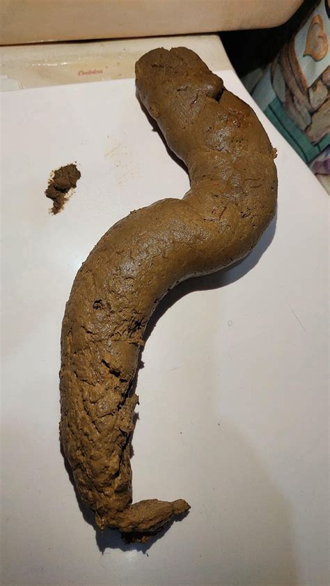 porno poop|High quality dirty scat porn videos